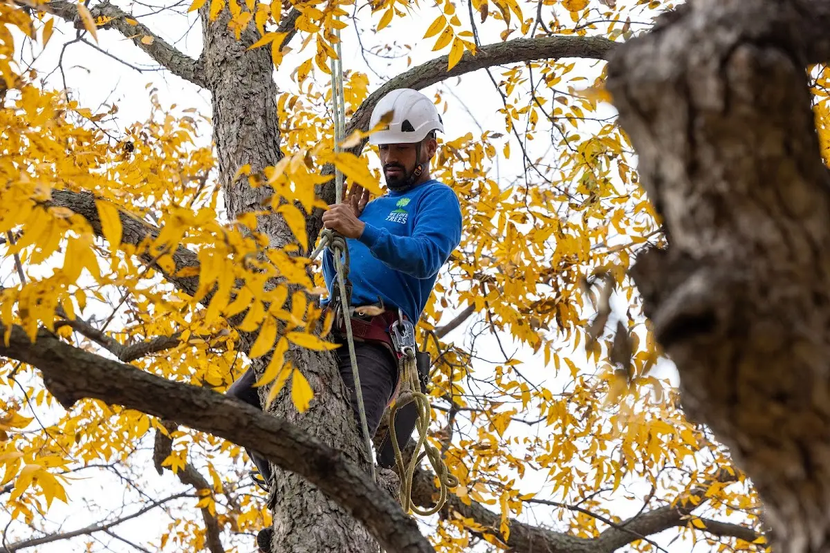 Skilled Storm Damage Cleanup crew working in Newport
